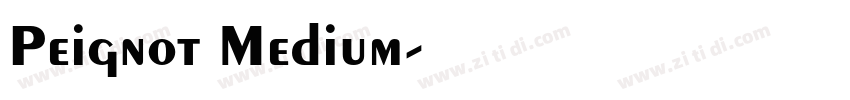 Peignot Medium字体转换